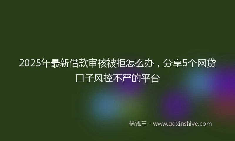 2025年最新借款审核被拒怎么办，分享5个网贷口子风控不严的平台