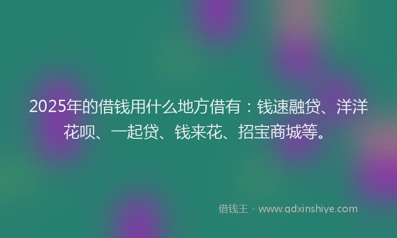 2025年的借钱用什么地方借有：钱速融贷、洋洋花呗、一起贷、钱来花、招宝商城等。