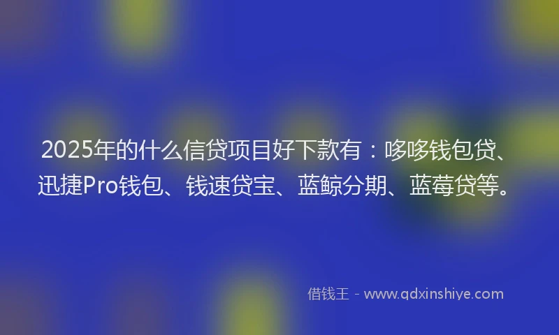2025年的什么信贷项目好下款有：哆哆钱包贷、迅捷Pro钱包、钱速贷宝、蓝鲸分期、蓝莓贷等。