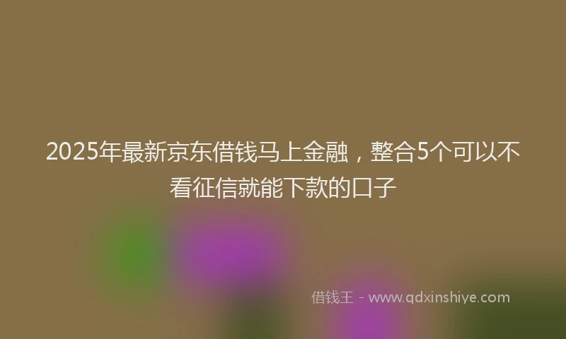 2025年最新京东借钱马上金融，整合5个可以不看征信就能下款的口子
