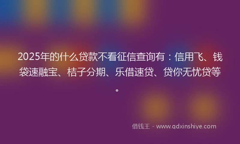 2025年的什么贷款不看征信查询有：信用飞、钱袋速融宝、桔子分期、乐借速贷、贷你无忧贷等。