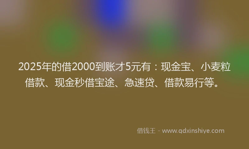 2025年的借2000到账才5元有：现金宝、小麦粒借款、现金秒借宝途、急速贷、借款易行等。
