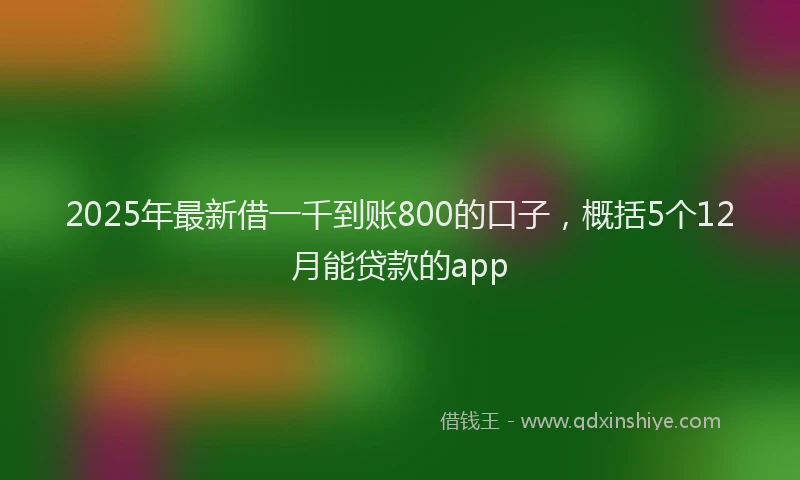 2025年最新借一千到账800的口子，概括5个12月能贷款的app