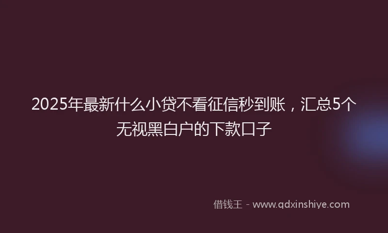 2025年最新什么小贷不看征信秒到账，汇总5个无视黑白户的下款口子