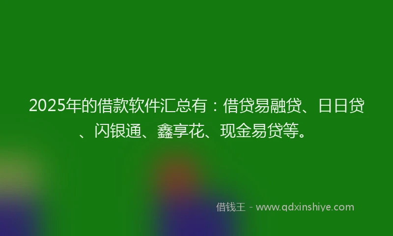 2025年的借款软件汇总有：借贷易融贷、日日贷、闪银通、鑫享花、现金易贷等。