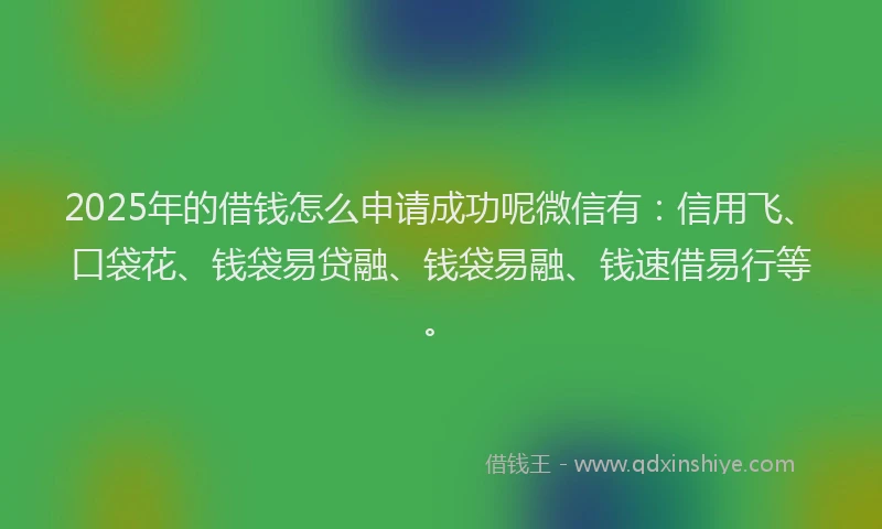 2025年的借钱怎么申请成功呢微信有：信用飞、口袋花、钱袋易贷融、钱袋易融、钱速借易行等。