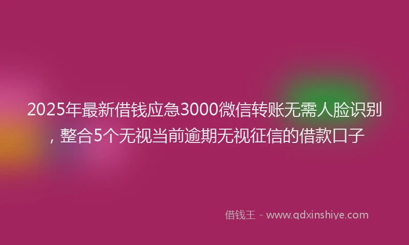 2025年最新借钱应急3000微信转账无需人脸识别，整合5个无视当前逾期无视征信的借款口子