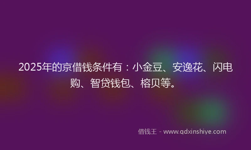2025年的京借钱条件有：小金豆、安逸花、闪电购、智贷钱包、榕贝等。