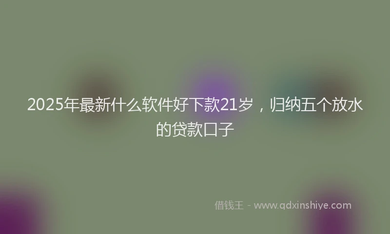 2025年最新什么软件好下款21岁，归纳五个放水的贷款口子