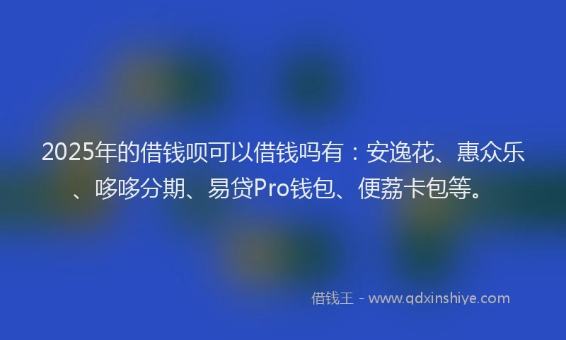 2025年的借钱呗可以借钱吗有：安逸花、惠众乐、哆哆分期、易贷Pro钱包、便荔卡包等。
