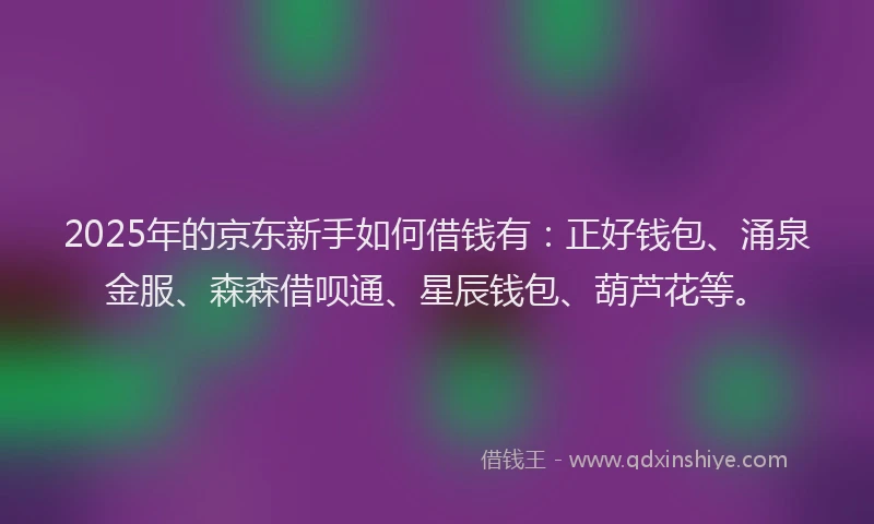 2025年的京东新手如何借钱有：正好钱包、涌泉金服、森森借呗通、星辰钱包、葫芦花等。