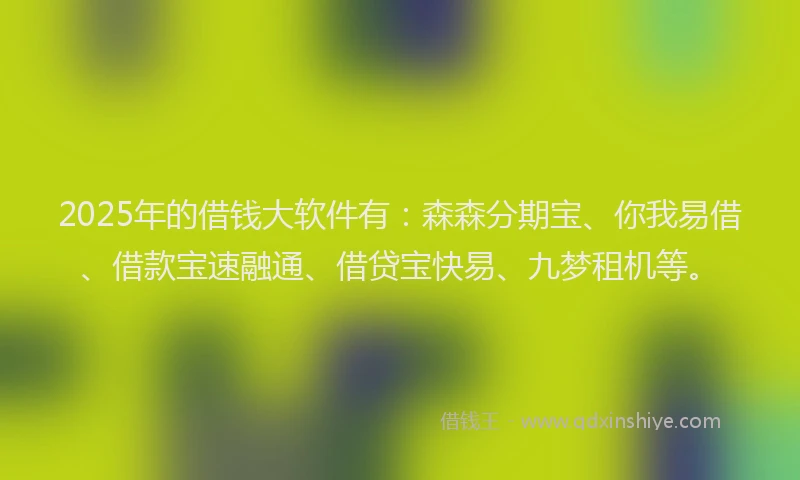 2025年的借钱大软件有：森森分期宝、你我易借、借款宝速融通、借贷宝快易、九梦租机等。