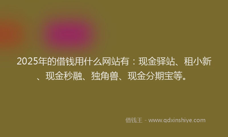 2025年的借钱用什么网站有：现金驿站、租小新、现金秒融、独角兽、现金分期宝等。