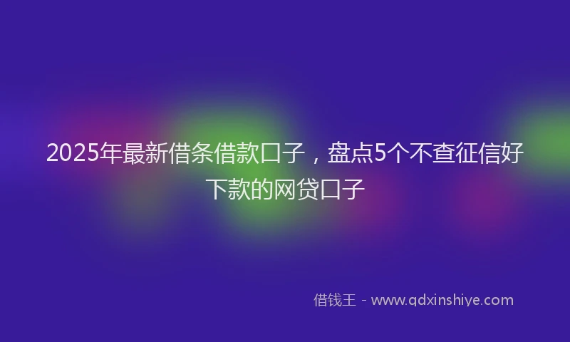 2025年最新借条借款口子，盘点5个不查征信好下款的网贷口子