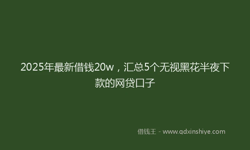 2025年最新借钱20w，汇总5个无视黑花半夜下款的网贷口子