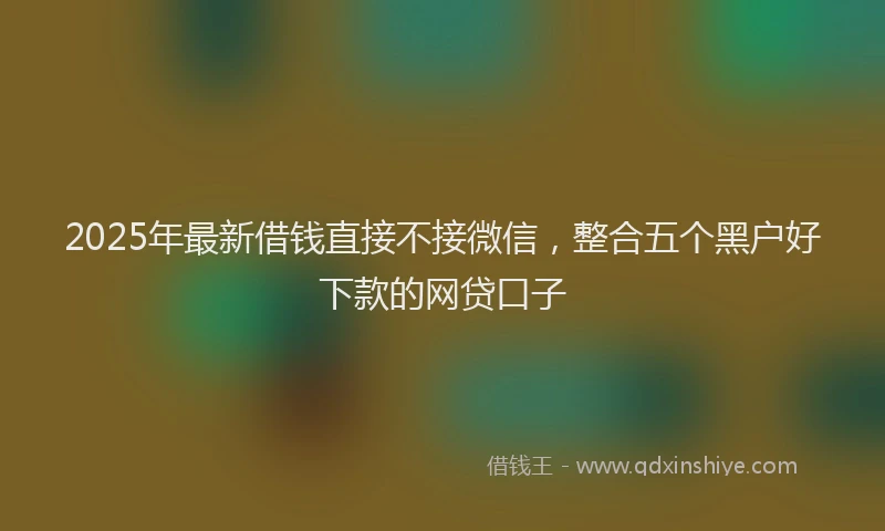 2025年最新借钱直接不接微信，整合五个黑户好下款的网贷口子