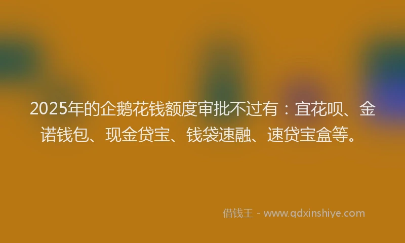 2025年的企鹅花钱额度审批不过有：宜花呗、金诺钱包、现金贷宝、钱袋速融、速贷宝盒等。