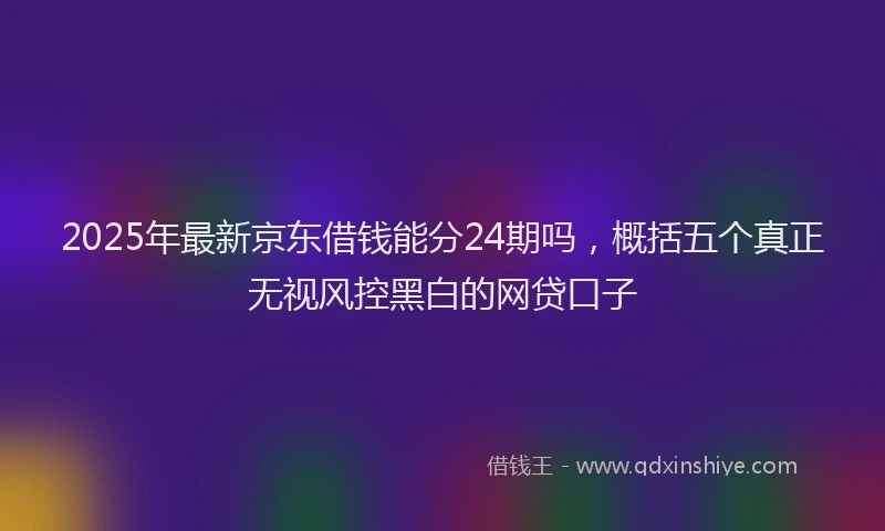 2025年最新京东借钱能分24期吗，概括五个真正无视风控黑白的网贷口子