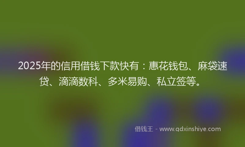2025年的信用借钱下款快有：惠花钱包、麻袋速贷、滴滴数科、多米易购、私立签等。