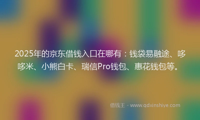 2025年的京东借钱入口在哪有：钱袋易融途、哆哆米、小熊白卡、瑞信Pro钱包、惠花钱包等。