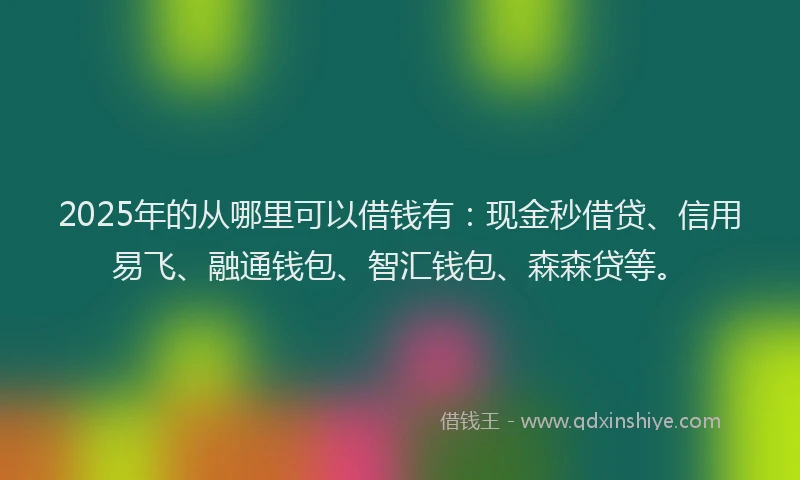 2025年的从哪里可以借钱有：现金秒借贷、信用易飞、融通钱包、智汇钱包、森森贷等。