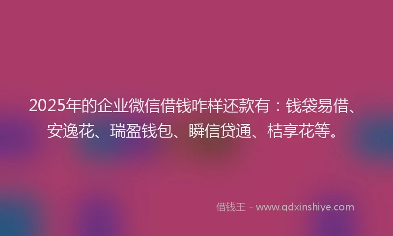 2025年的企业微信借钱咋样还款有：钱袋易借、安逸花、瑞盈钱包、瞬信贷通、桔享花等。