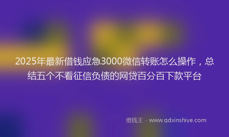 2025年最新借钱应急3000微信转账怎么操作，总结五个不看征信负债的网贷百分百下款平台