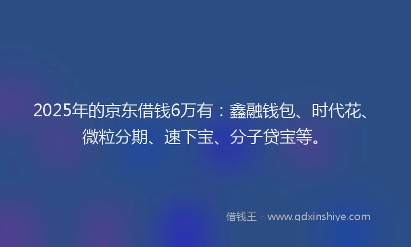 2025年的京东借钱6万有：鑫融钱包、时代花、微粒分期、速下宝、分子贷宝等。