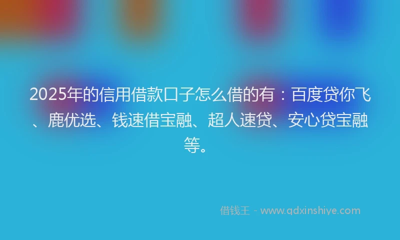 2025年的信用借款口子怎么借的有：百度贷你飞、鹿优选、钱速借宝融、超人速贷、安心贷宝融等。