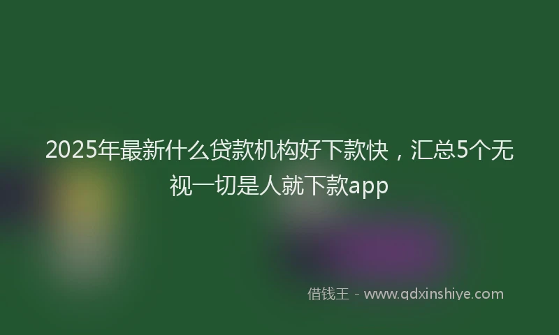 2025年最新什么贷款机构好下款快，汇总5个无视一切是人就下款app