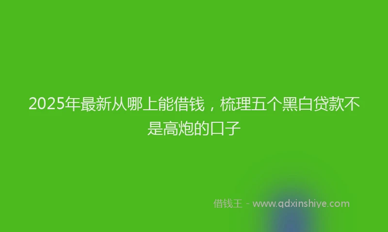 2025年最新从哪上能借钱，梳理五个黑白贷款不是高炮的口子
