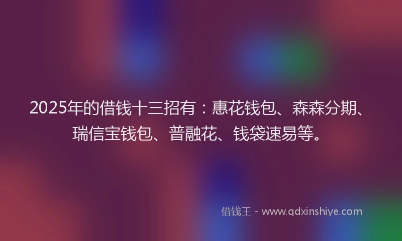 2025年的借钱十三招有：惠花钱包、森森分期、瑞信宝钱包、普融花、钱袋速易等。