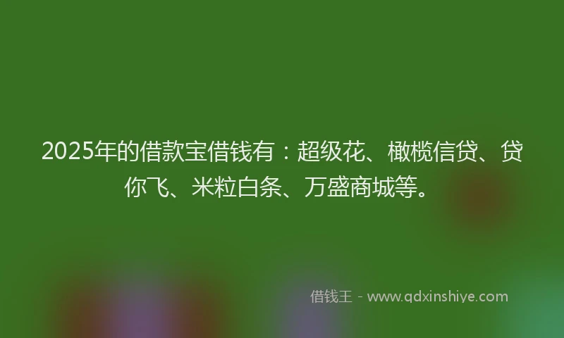 2025年的借款宝借钱有：超级花、橄榄信贷、贷你飞、米粒白条、万盛商城等。