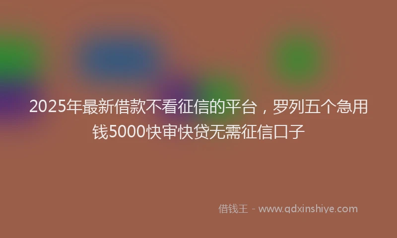 2025年最新借款不看征信的平台，罗列五个急用钱5000快审快贷无需征信口子