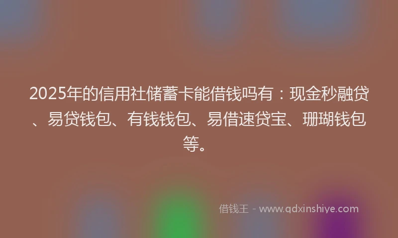 2025年的信用社储蓄卡能借钱吗有：现金秒融贷、易贷钱包、有钱钱包、易借速贷宝、珊瑚钱包等。
