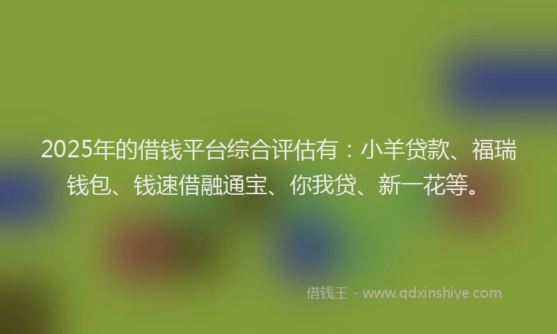2025年的借钱平台综合评估有：小羊贷款、福瑞钱包、钱速借融通宝、你我贷、新一花等。
