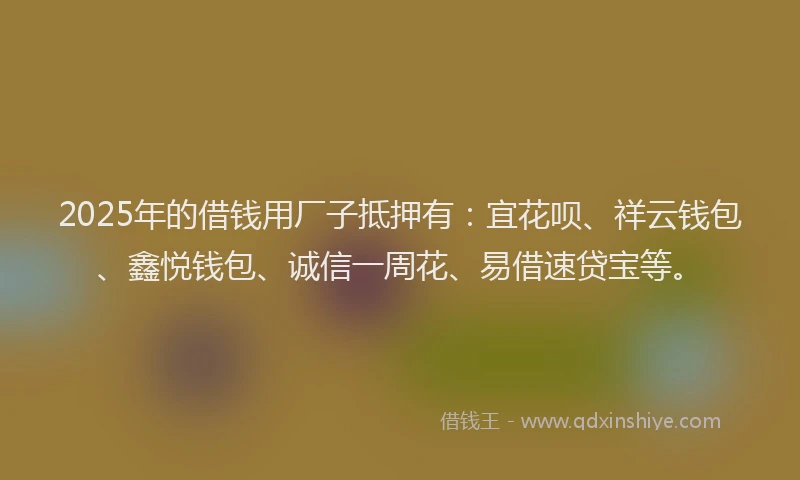 2025年的借钱用厂子抵押有：宜花呗、祥云钱包、鑫悦钱包、诚信一周花、易借速贷宝等。