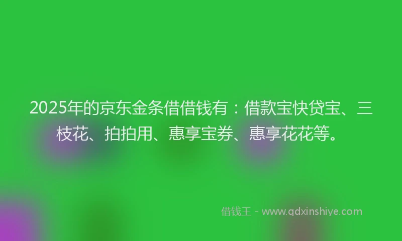 2025年的京东金条借借钱有：借款宝快贷宝、三枝花、拍拍用、惠享宝券、惠享花花等。
