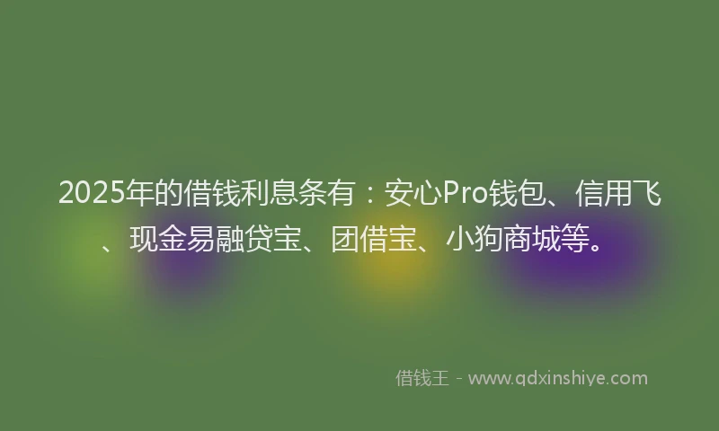2025年的借钱利息条有：安心Pro钱包、信用飞、现金易融贷宝、团借宝、小狗商城等。