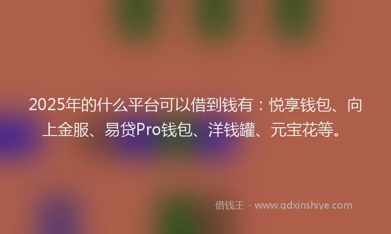 2025年的什么平台可以借到钱有：悦享钱包、向上金服、易贷Pro钱包、洋钱罐、元宝花等。