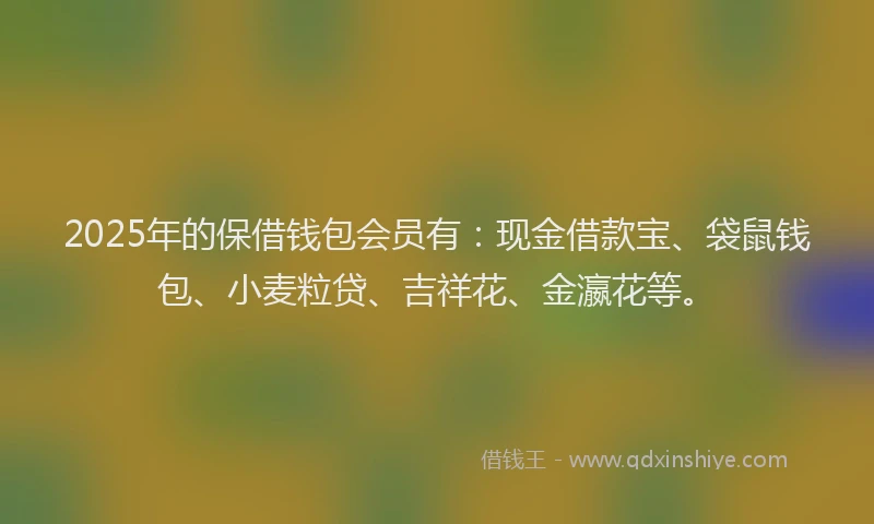 2025年的保借钱包会员有：现金借款宝、袋鼠钱包、小麦粒贷、吉祥花、金瀛花等。