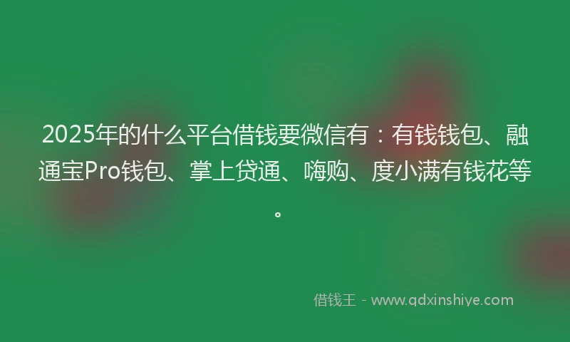 2025年的什么平台借钱要微信有：有钱钱包、融通宝Pro钱包、掌上贷通、嗨购、度小满有钱花等。