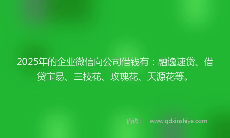 2025年的企业微信向公司借钱有：融逸速贷、借贷宝易、三枝花、玫瑰花、天源花等。