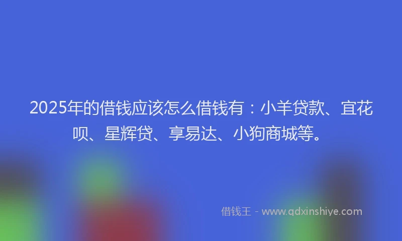 2025年的借钱应该怎么借钱有：小羊贷款、宜花呗、星辉贷、享易达、小狗商城等。