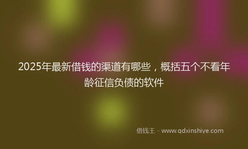 2025年最新借钱的渠道有哪些，概括五个不看年龄征信负债的软件