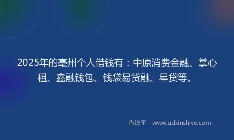 2025年的亳州个人借钱有：中原消费金融、掌心租、鑫融钱包、钱袋易贷融、星贷等。