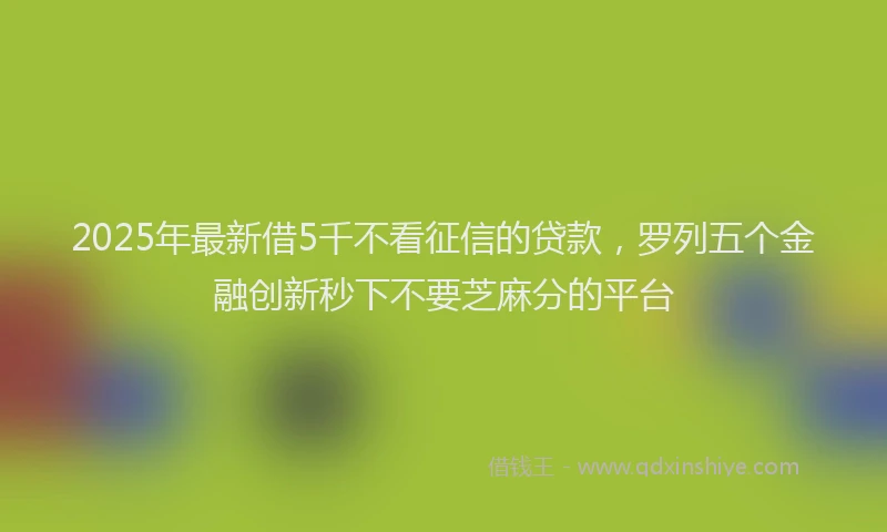 2025年最新借5千不看征信的贷款，罗列五个金融创新秒下不要芝麻分的平台