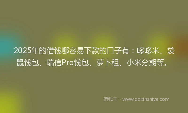 2025年的借钱哪容易下款的口子有：哆哆米、袋鼠钱包、瑞信Pro钱包、萝卜租、小米分期等。
