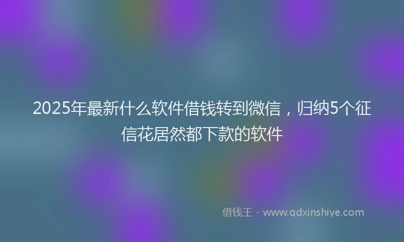 2025年最新什么软件借钱转到微信，归纳5个征信花居然都下款的软件