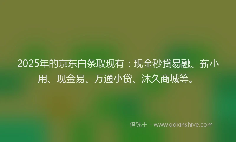 2025年的京东白条取现有：现金秒贷易融、薪小用、现金易、万通小贷、沐久商城等。